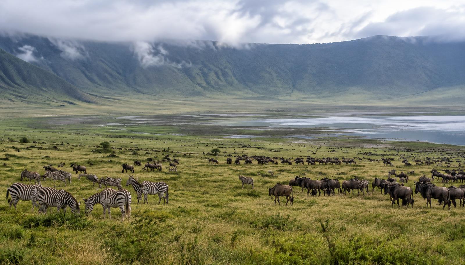 7-Day Serengeti & Ngorongoro Safari — Tanzania